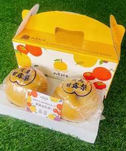 方案C（超豪特大顆）